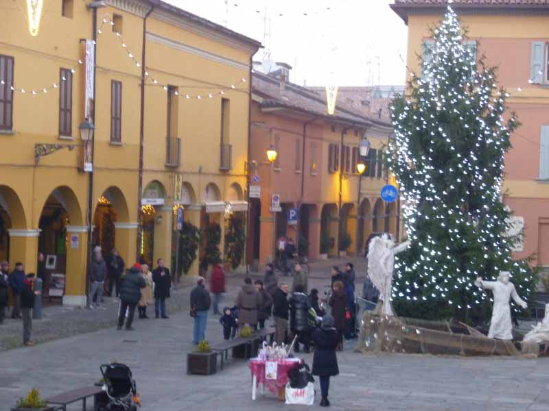 albero in piazza